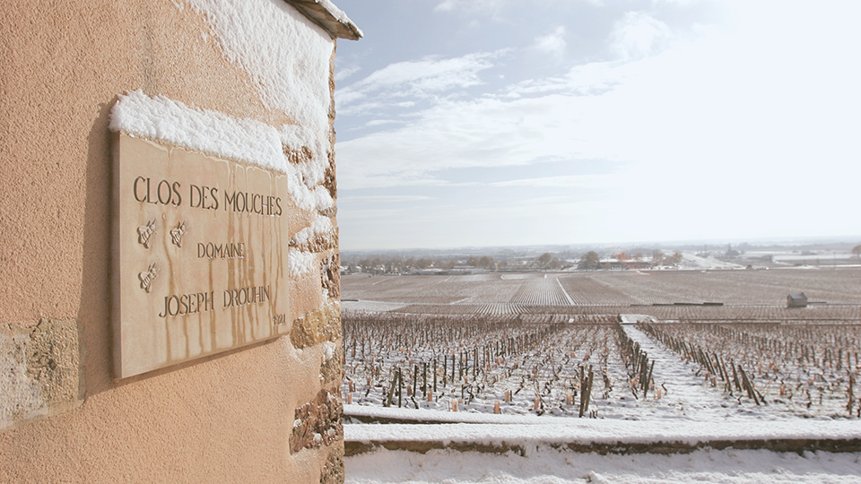 Drouhin's Beaune Clos des Mouches Blanc: 1979-2016 (Feb 2019)